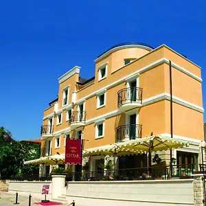 Cittar Novigrad (Istria)